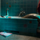 Photo: Janus Films